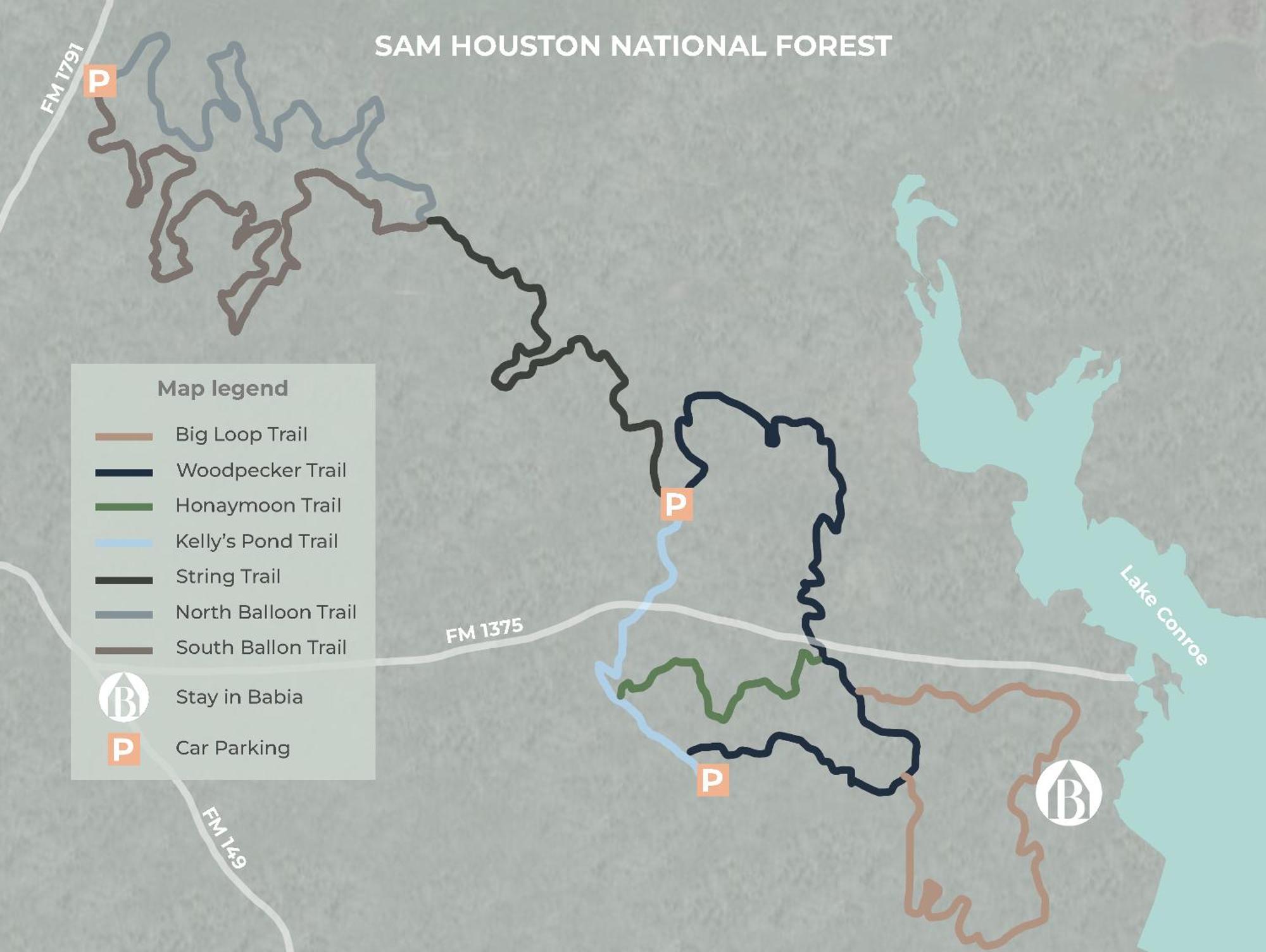 In Babia - Luxury - Sam Houston National Forest